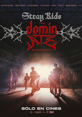 Straykidsthe-dominateexperience-chico_mediano