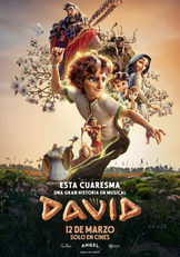 David-chico_mediano