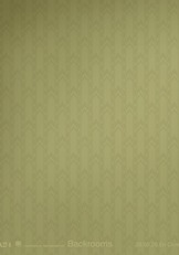 Backrooms-chico_mediano