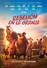 Ho00006616-chico_mediano